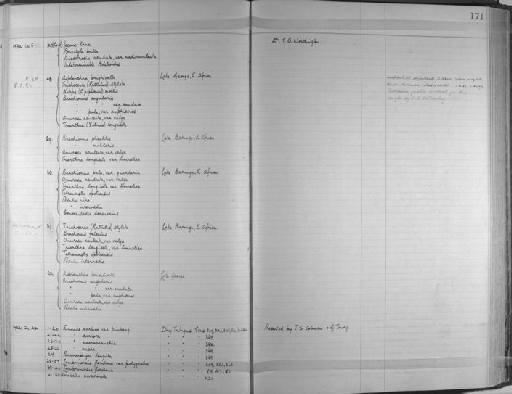 Lumbrinereis floridana Monro, 1933 - Zoology Accessions Register: Annelida & Echinoderms: 1924 - 1936: page 171