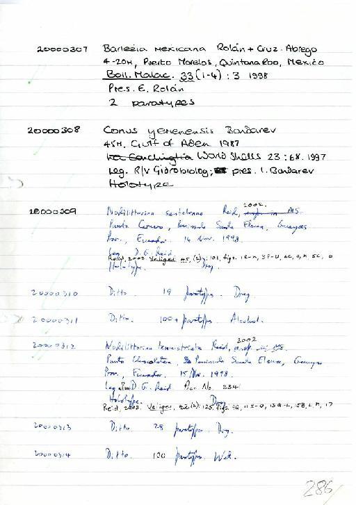 Nodilittorina santelenae D. Reid, 2002 - Zoology Accessions Register: Mollusca: 1998 - 2000: page 286