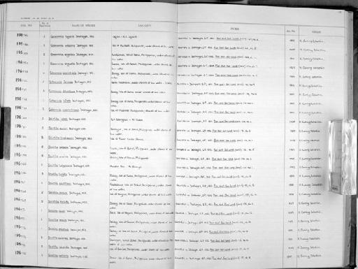 Scintilla ovulina subterclass Euheterodonta Deshayes, 1856 - Zoology Accessions Register: Mollusca: 1962 - 1969: page 170