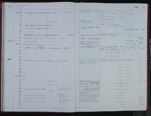 Craspedobolbina (Mitrobeyrichia) vallecula Siveter, 1980 - NHM-UK_P_DF118_04_10_0089
