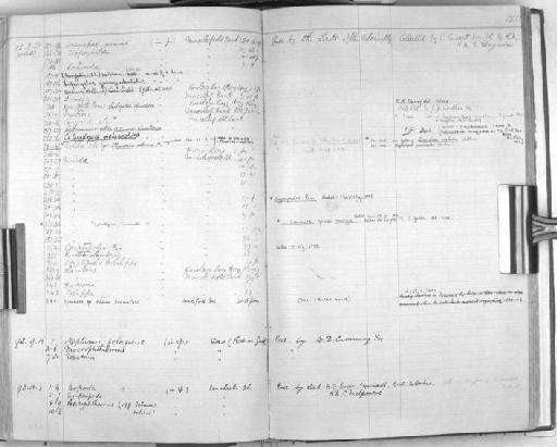 Pilumnus Fabricius - Zoology Accessions Register: Crustacea: 1876 - 1905: page 145