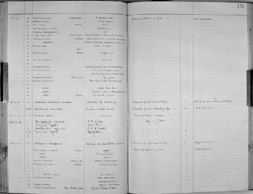 Gonaxis monrovia subterclass Tectipleura (Rang, 1831) - Zoology Accessions Register: Mollusca: 1925 - 1937: page 150