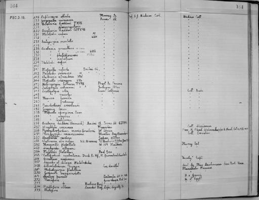 Acabaria haddoni Hickson, 1937 - Zoology Accessions Register: Coelenterata: 1934 - 1951: page 164