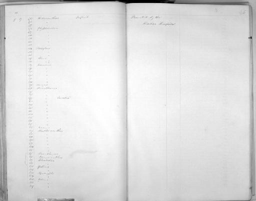 Osphromenus trichopterus koelreuteri Günther, 1861 - Zoology Accessions Register: Mammals: 1854 - 1861: page 45