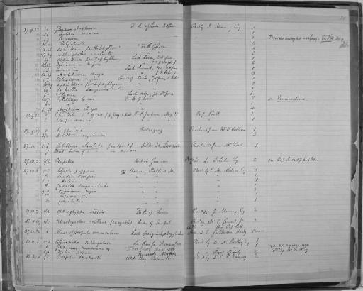 Tetrarhynchus reptans - Zoology Accessions Register: Annelida & Echinoderms: 1884 - 1923: page 20