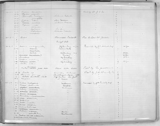 Bulinus tasmanicus - Zoology Accessions Register: Mollusca: 1900 - 1905: page 71
