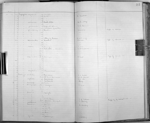 Leptoptila rufescens Berlepsch, 1874 - Bird Group Collector's Register: Aves - Salvin & Godman Collection Vol 2: 1887 - 1889: page 207