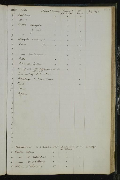 Notidanus serratus infraphylum Gnathostomata Fraas, 1855 - NHM-UK_P_DF118_02_01_0381