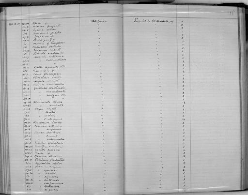 Helix newberryanum - Zoology Accessions Register: Mollusca: 1911 - 1924: page 111