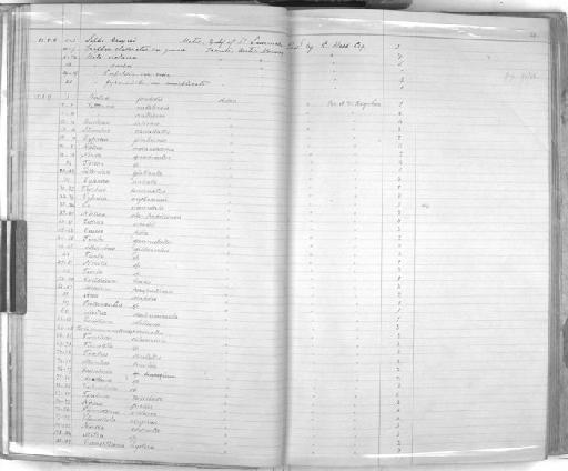 Cypraea undata Lamarck, 1822 - Zoology Accessions Register: Mollusca: 1884 - 1893: page 28