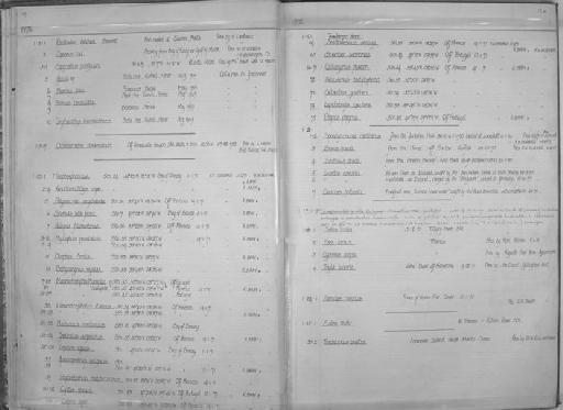 Bathycongrus mystax - Zoology Accessions Register: Fishes: 1971 - 1985: page 20