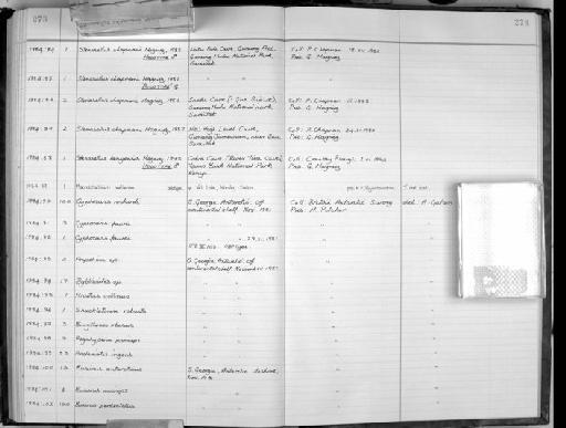 Stenasellus kenyensis Magniez, 1975 - Zoology Accessions Register: Crustacea: 1976 - 1984: page 273