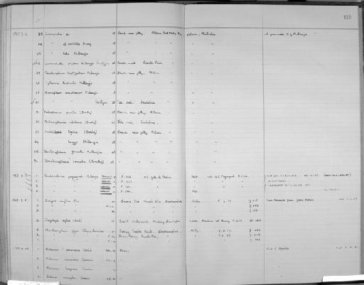 Ambostracon pumila (Brady, 1866) Mckenzie, 1965 - Zoology Accessions Register: Crustacea (Entomostraca): 1963 - 1982: page 125