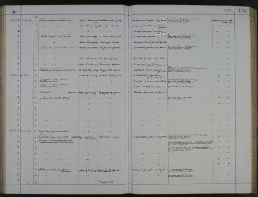 Phillipsinella parabola aquilonia - NHM-UK_P_DF118_02_14_0353