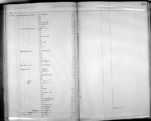 Lamprotornis corruscus corruscus Nordmann, 1835 - Zoology Accessions Register: Aves (Skins): 1904 - 1905: page 323