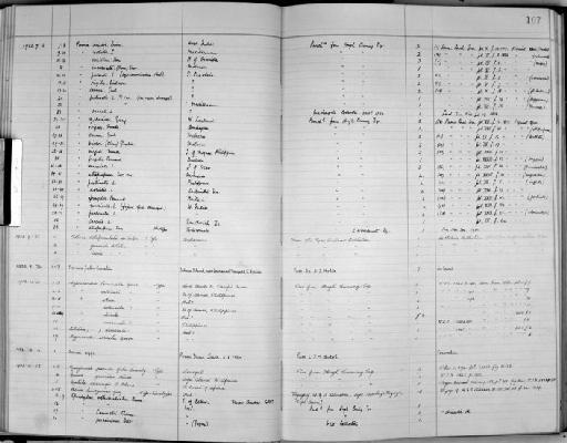 Murex gravidus Hinds, 1844 - Zoology Accessions Register: Mollusca: 1938 - 1955: page 107