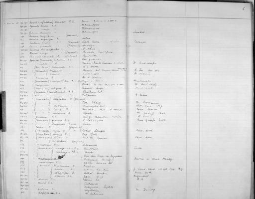 Ascatala angustipes Budde-Lund - Zoology Accessions Register: Crustacea - Budde Lund Collection 1921 & Stebbing Collection 1928: page 5