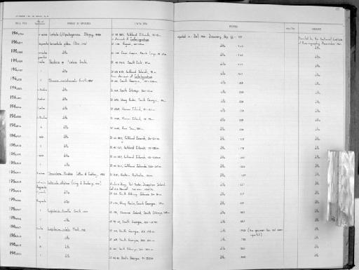 Thracia meridionalis subterclass Euheterodonta E. A. Smith, 1885 - Zoology Accessions Register: Mollusca: 1962 - 1969: page 127