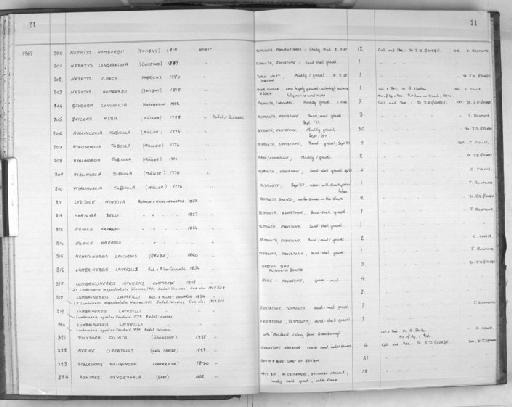 Nerine cirratulus (Delle Chiaje, 1828) - Zoology Accessions Register: Polychaeta: 1967 - 1989: page 21