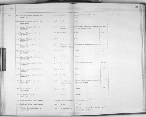 Pileolaria marginata Knight-Jones, 1978 - Zoology Accessions Register: Polychaeta: 1967 - 1989: page 141