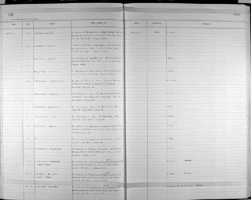 Lepidapedon sommervillae Bray & Gibson, 1995 - Zoology Accessions Register: Platyhelminth: 1987 - 1993: page 138