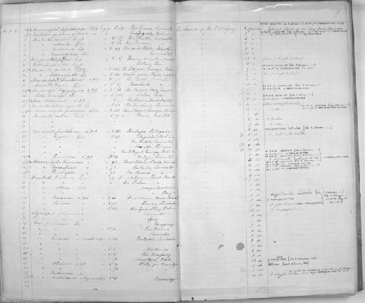Castalia quadrilatera A.D.Orb. 1835 - Zoology Accessions Register: Mollusca: 1854 - 1857: page 2