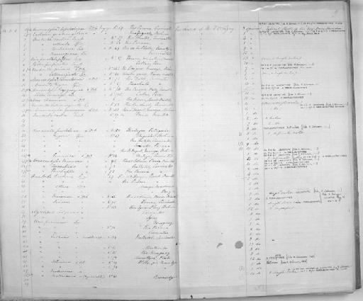 Monocondylaea fossiculifera A.D.Orb., 1835 - Zoology Accessions Register: Mollusca: 1854 - 1857: page 2