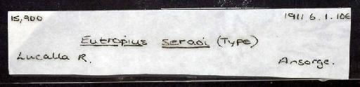 Eutropius seraoi Boulenger, 1910 - 1911.6.1.106; Eutropius seraoi; image of jar label; ACSI project image