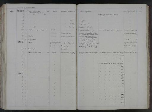 Triletes - NHM-UK_P_DF118_02_69_0313