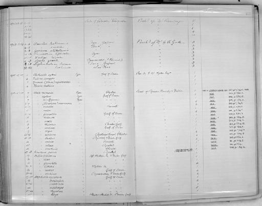 Drillia grantella Melvill & Standen, 1903 - Zoology Accessions Register: Mollusca: 1900 - 1905: page 151