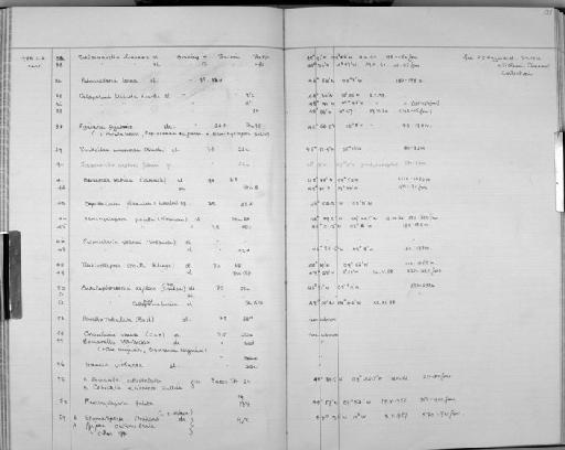 Turbicellepora smitti (Kluge, 1962) - Zoology Accessions Register: Bryozoa: 1971 - 1986: page 135