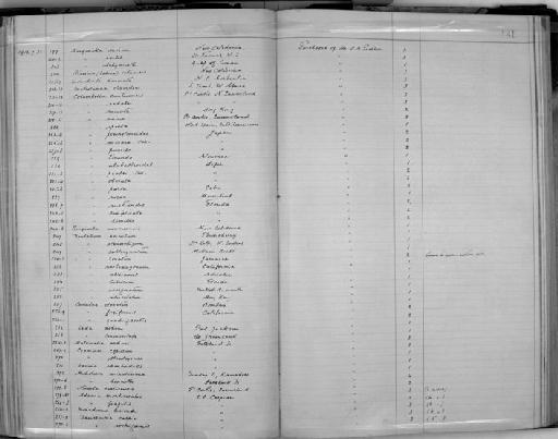 Dentalium neohexagonum Sharp & Pilsbry in Pilsbry & Sharp, 1897 - Zoology Accessions Register: Mollusca: 1911 - 1924: page 131
