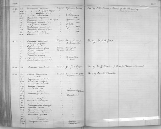 Heterogramma commbrae Regan, 1906 - Zoology Accessions Register: Reptiles & Fishes: 1893 - 1903: page 260