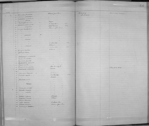 Telophorus olivaceus olivaceus - Zoology Accessions Register: Aves (Skins): 1892 -1896: page 256