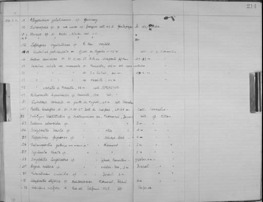 Cribrilina radiata var. flabellifera Kirkpatrick - Zoology Accessions Register: Bryozoa: 1950 - 1970: page 214