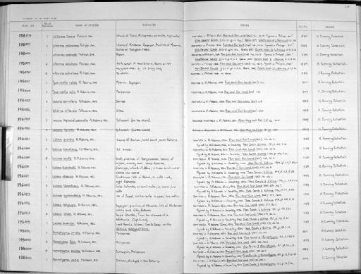 Eulima acuta A. Adams, 1854 - Zoology Accessions Register: Mollusca: 1962 - 1969: page 219