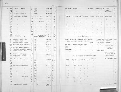 Tadarida lobata - Zoology Accessions Register: Mammals: 1967 - 1970: page 132