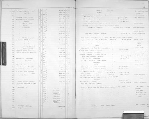 Hesperoptenus blandfordi - Zoology Accessions Register: Mammals: 1967 - 1970: page 148