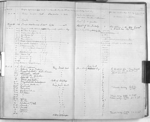 Omalosecosa ramulosa (Linnaeus, 1767) - Zoology Accessions Register: Mollusca: 1877 - 1883: page 105