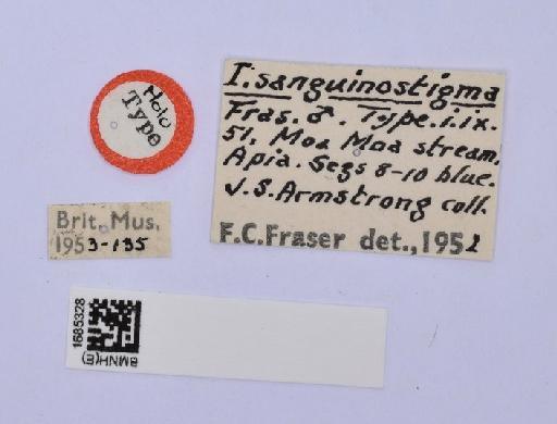 Ischnura sanguinostigma Fraser, 1953 - BMNHE_1685328-Ischnura_sanguinostigma-labels