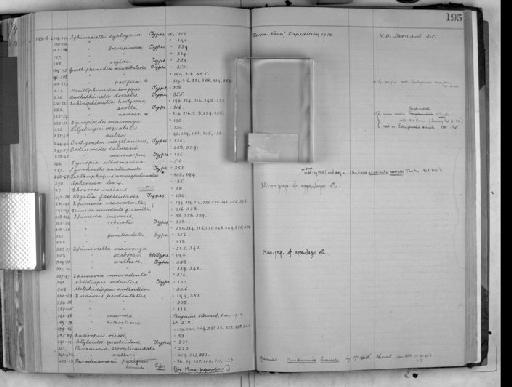 Chosroes incisus Stebbing, 1888 - Zoology Accessions Register: Crustacea: 1905 - 1935: page 195