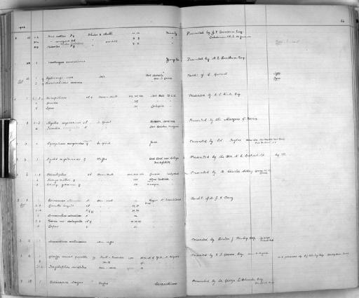 Rupicapra rupicapra asiatica Lydekker, 1908 - Zoology Accessions Register: Mammals: 1904 - 1910: page 64