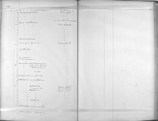 Nectarinia jugularis australis - Zoology Accessions Register: Aves (Skins): 1880 -1884: page 200