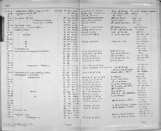 Lampanyctus pseudoalatus Tåning, 1918 - Zoology Accessions Register: Fishes: 1986 - 1994: page 82