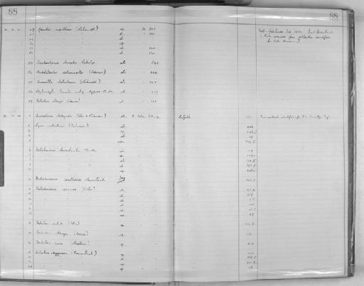 Stylocordyla borealis typica Burton, 1931 - Zoology Accessions Register: Spongiida: 1929 - 1938: page 88