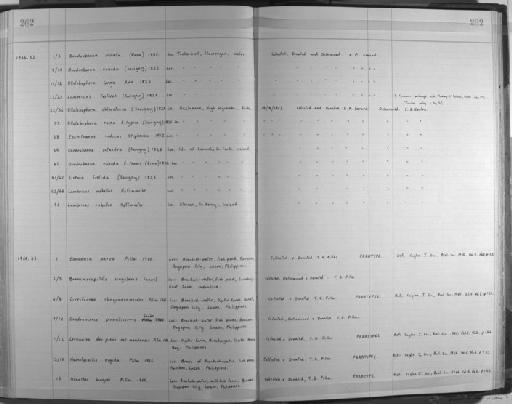 Branchiocapitella singularis Fauvel - Zoology Accessions Register: Annelida: 1936 - 1970: page 262