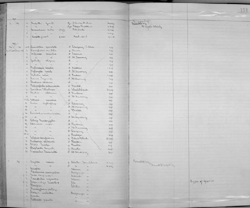 Caprimulgus torridus Lort Phillips, 1898 - Zoology Accessions Register: Aves (Skins): 1896 -1900: page 151