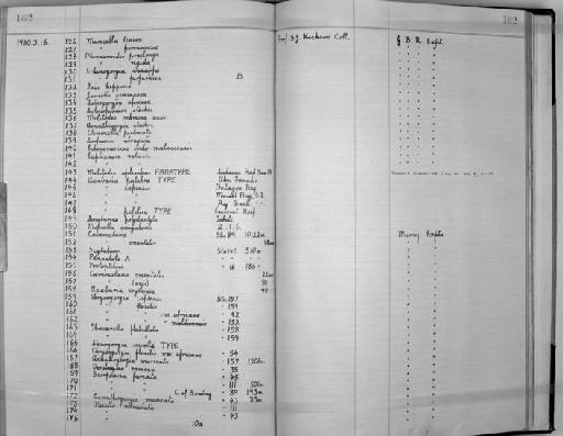 Acabaria pulchra Hickson, 1937 - Zoology Accessions Register: Coelenterata: 1934 - 1951: page 162