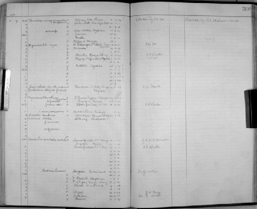 Cisticola robusta aberdare Lynes, 1930 - Zoology Accessions Register: Aves (Skins): 1921 - 1923: page 306