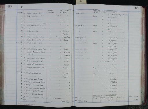 Globorotalia velascoensis acuta Toulmin - NHM-UK_P_DF118_04_06_0177